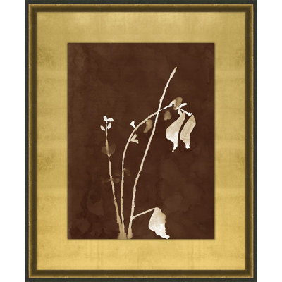 Botanist Study 2 Print by Lillian August