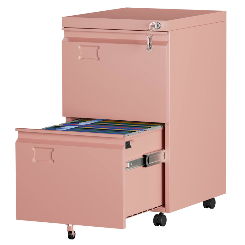 2-Drawer Metal Vertical Filing Cabinet with Wheels for Home Office & Business Enterprise, Legal/Letter Size, Fully Assembled Except Wheels