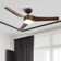 52" Smart Ceiling Fan with Dimmable LED Light and Remote Control
