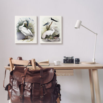 Ensemble de 2 peintures sur toile tendue Wild Pelican Birds Avian Waterside