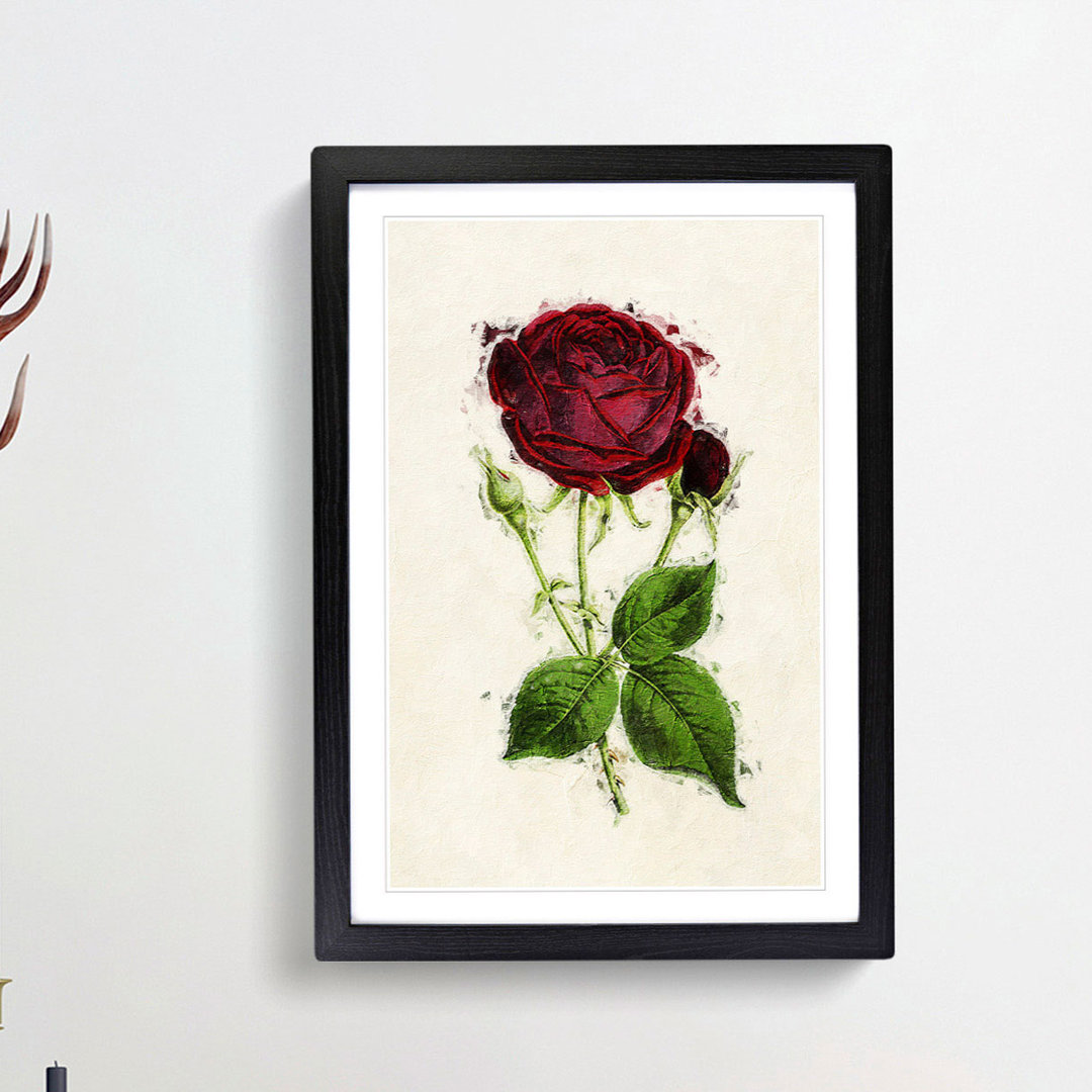 Illustration of a Red Prince Noir Rose - Picture Frame Painting Print