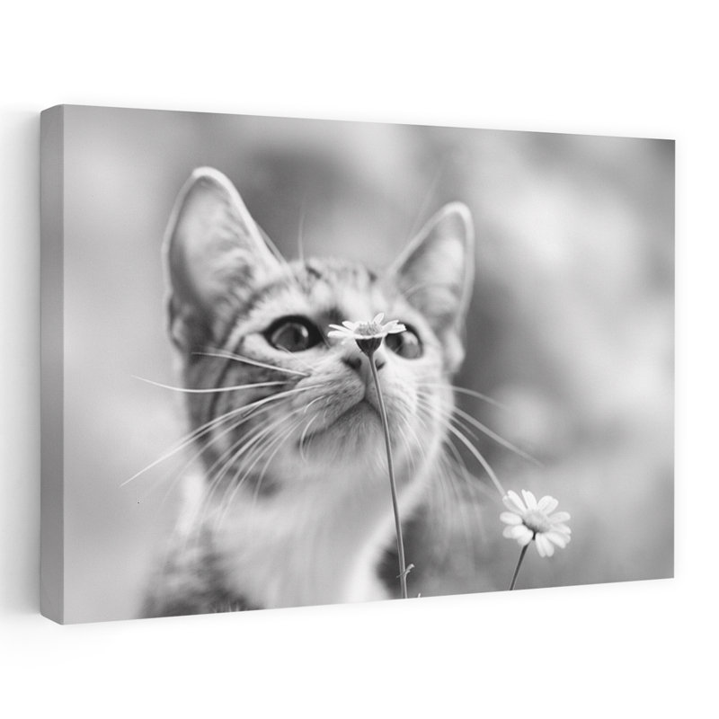 Curious Kitten Daisy Peaceful Abstract Cat Daisy Flower Nature Wall Art Print, 30.48cm H x 45.72cm W