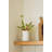 over&back Coupe Stoneware Pitcher-101308995
