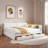 Upholstered Daybed With Usb And 2 Drawers-868749182