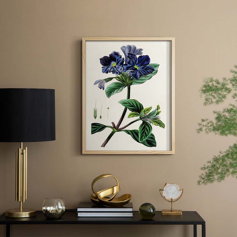 AntiqueFloralFolioIV Framed Print - Solid Wood