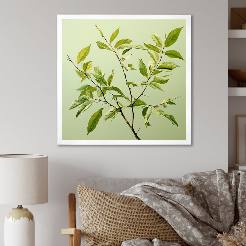 " Green Ferm Simple Collage I ", White Single Picture Framed, 36" H x 36" W x 1.5" D