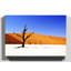 Landscape Desert Namibia With Trees - Wrapped Canvas-19090273