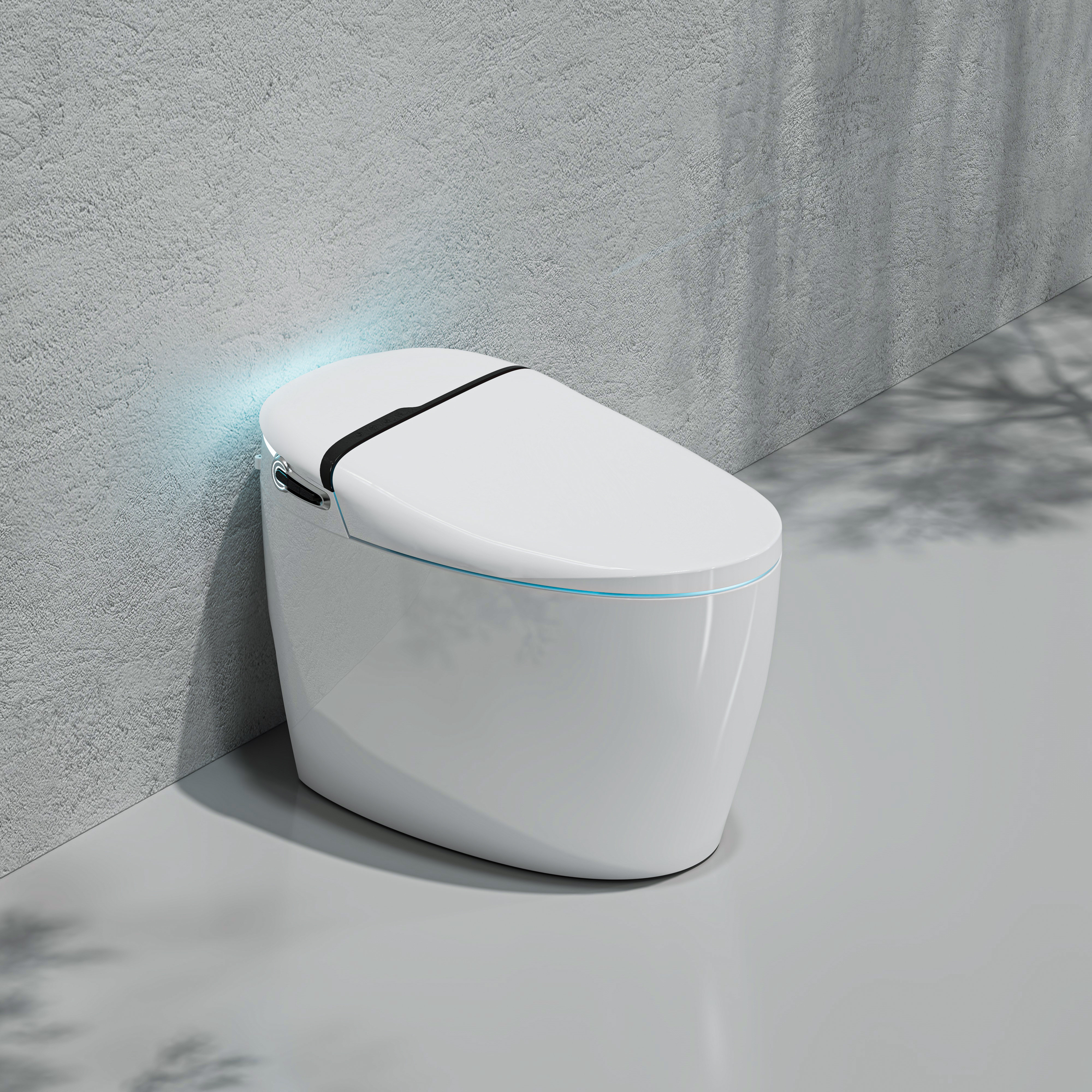 https://assets.wfcdn.com/im/09814805/compr-r85/2510/251062795/smart-bidet-toilet-with-massage-washing-auto-flush-heated-seat-multi-function-remote-control.jpg