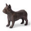 Animals French Bulldog-49609687
