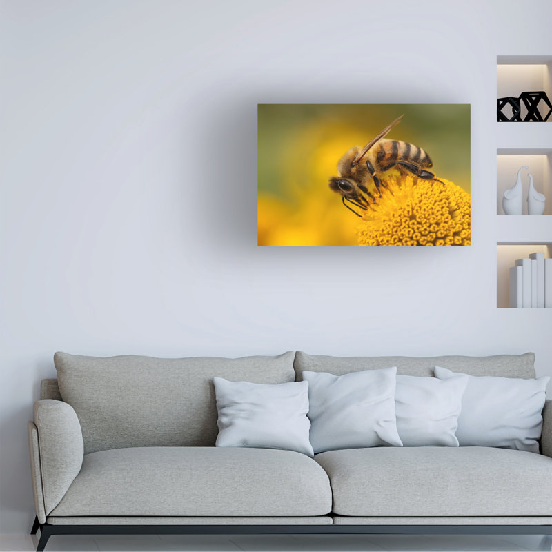Art sur toile de Pierre Anex, H 12 po x l 19 po