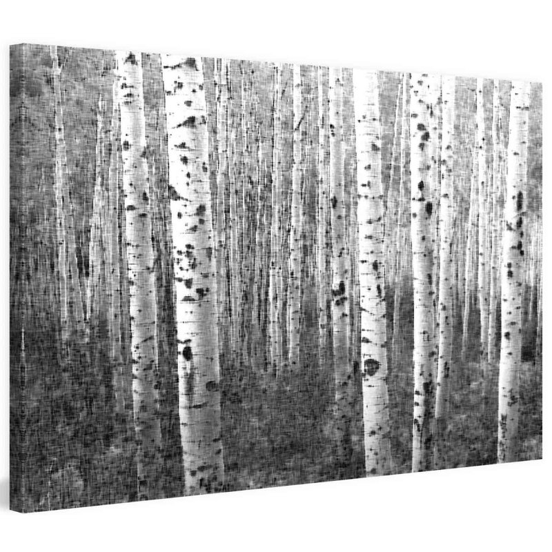 Parvez Taj - Wrapped Canvas Print, 41cm H x 61cm W