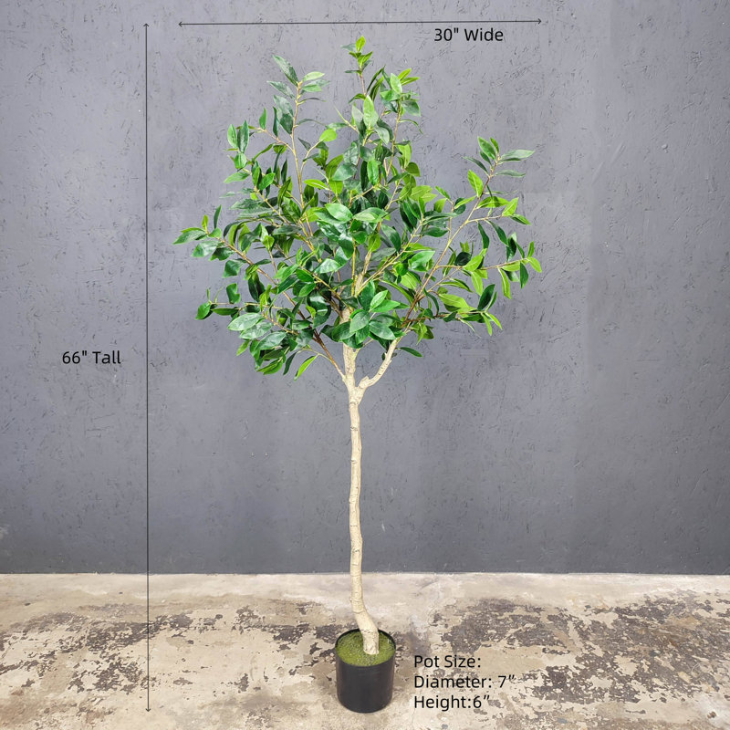 Artificial Bay Leaf Tree,Laurus Tree,Bay Tree,Laurel Tree
