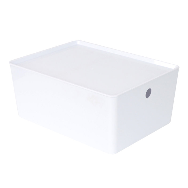 Bac de rangement en plastique Rebrilliant avec couvercle, panier blanc avec poignée pour l'organisation, polyvalent pour salle de classe, tiroirs, bureau, bureau, salle de jeux, tablettes, placards