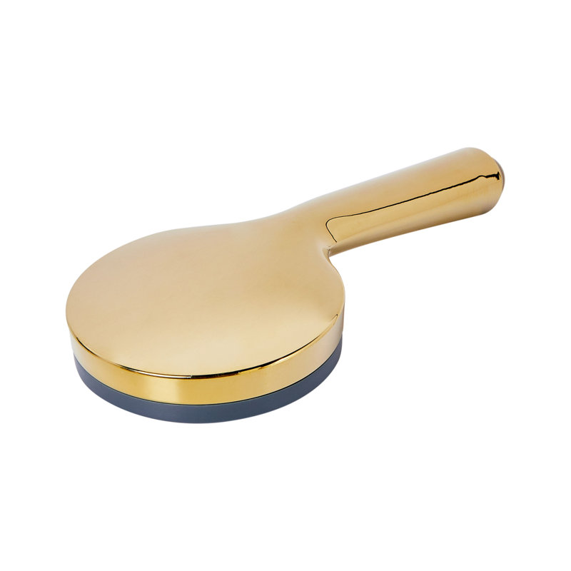 Shower Head and Hose Kit SURIPA, Gold