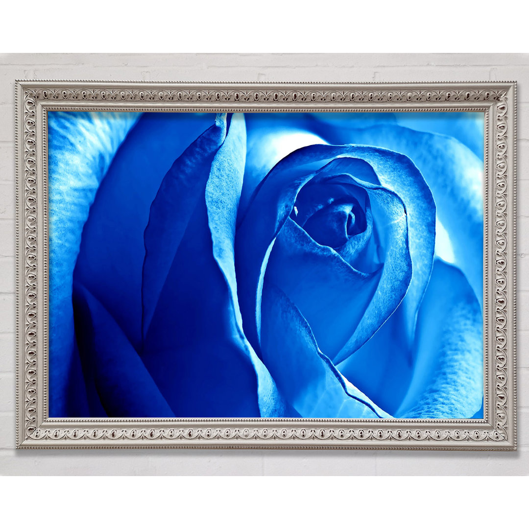 Blaue Rose - Einzelner Bilderrahmen Druck