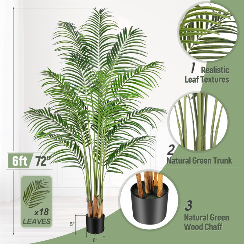 182.88cm Palm Plant