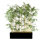 Faux Bamboo Hedge in Wood Freestanding
