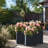 Lupi Handmade Planter Box-1901013347