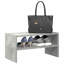 2 Pair Shoe Rack