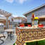 Nappe faite main en coton tournesol-898957758-898957761