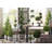 Preserved Boxwood Topiary in Pot-808365222