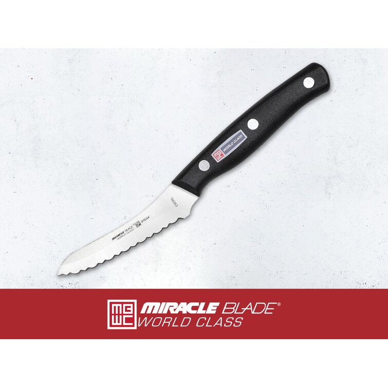 https://assets.wfcdn.com/im/09816442/resize-h755-w755%5Ecompr-r85/1397/139745295/Miracle+Blade+13+Piece+Stainless+Steel+Assorted+Knife+Set.jpg