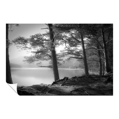 Lake Pine Trees - No Frame Print