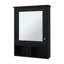 Pharmacie avec porte et miroir inclus-802071444