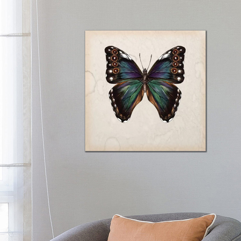 Butterfly Study III by Melissa Wang - Wrapped Canvas Painting, 66.04 cm H x 66.04 cm W