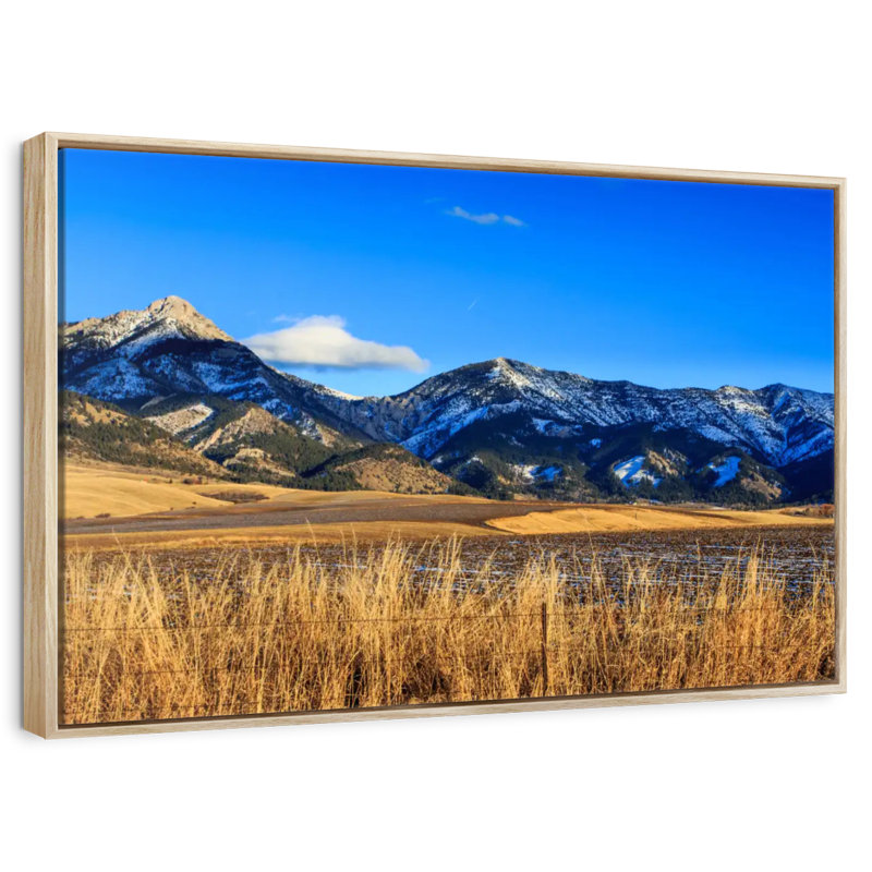 Vue panoramique des montagnes Bridger, Cadre flottant en bois naturel, 43 po x 29 po