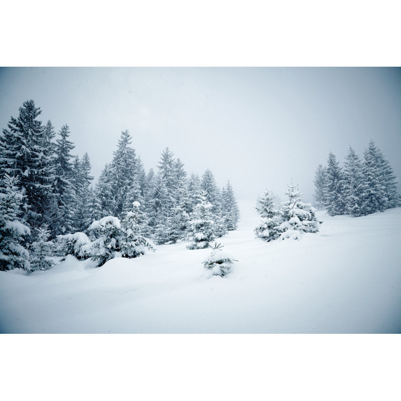 Sapins couverts de neige par Silverjohn - impression sur toile tendue, L 12 po x H 8 po