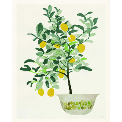 Citronnier II