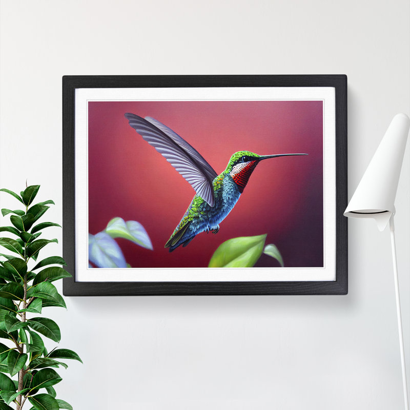 Charming Hummingbird - Single Picture Frame Print, Black, 46cm H x 64cm W x 2cm D