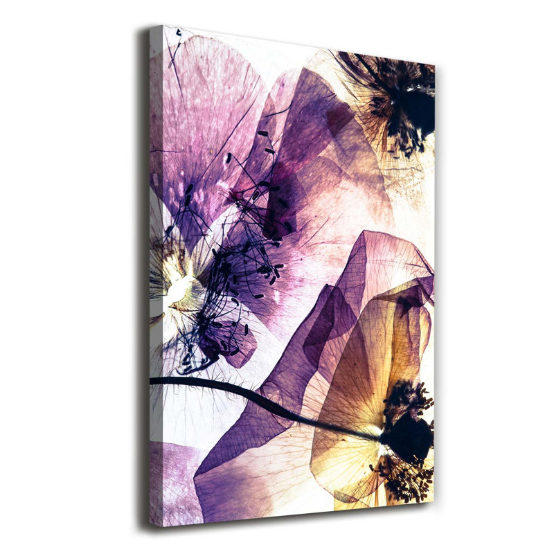 Maki - Wrapped Canvas Print