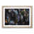 Oak Framed selected
