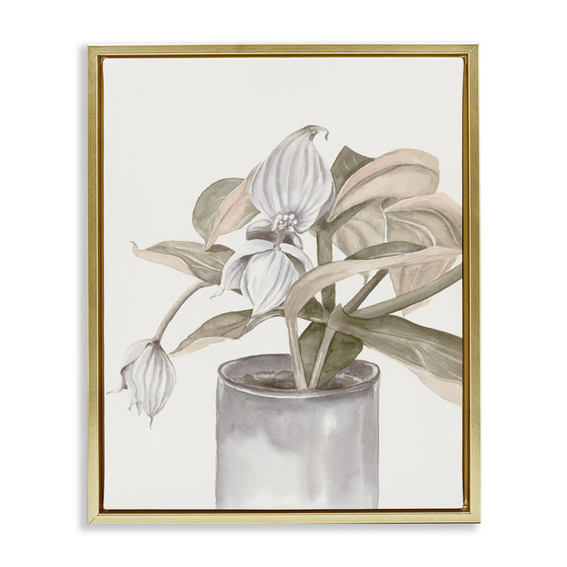 Cadre flottant en pot Medinilla Magnifica, design par Errico & Slyp, Cadre flottant métallique doré, H 31 po x l 25 po
