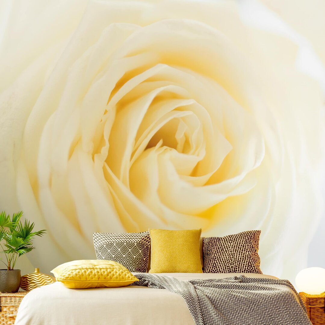 Matte Tapete White Rose 2,4 m x 240 cm