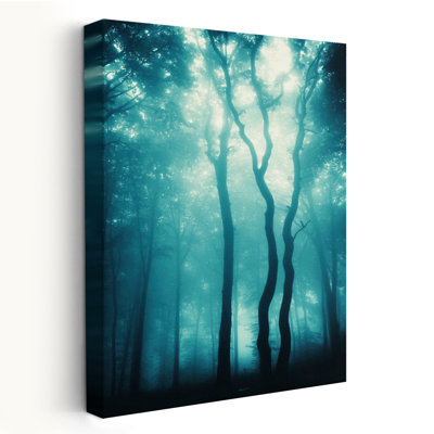 Bois bleu clair - paysages, arbres, photographie