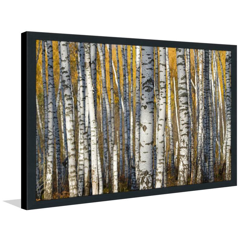 Single Picture Frame Photograph, 35.5" H x 51.5" W x 0.75" D