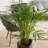 40'' Faux Palm Tree in Metal Pot