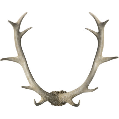 Bjorn Wall Décor