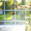 Blomberg Suncatcher