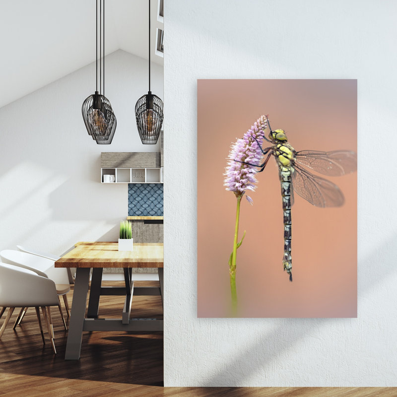 Dragonfly On Pink Blossom Delicate Peaceful Contemporary Dragonfly Flower Nature Wall Art Print 1 Piece Wrapped Canvas Wall Art