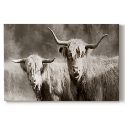 Sepia Hairy Highland- Framed Gallery Wrapped Canvas -Ready to Hang