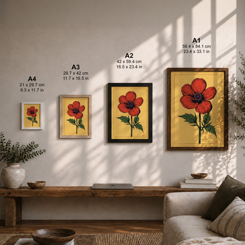 Red Poppy Study Botanical - Print, Unframed, A1 - 84.1 x 59.4 cm