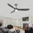 3 Blade Gray Solid Wood Ceiling Fan With Light And Remote Control-60340095