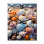 Beach Photo Sunlit Shells II - Horloges murales nautiques et de plage-99629453