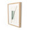 Color Form B Print by David Gray