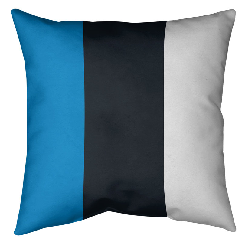 Housse de coussin , 14 po x 14 po, Principal, Polyester filé