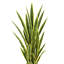 Plante de serpent artificielle Sansevieria en pot-1474549792-1376818531